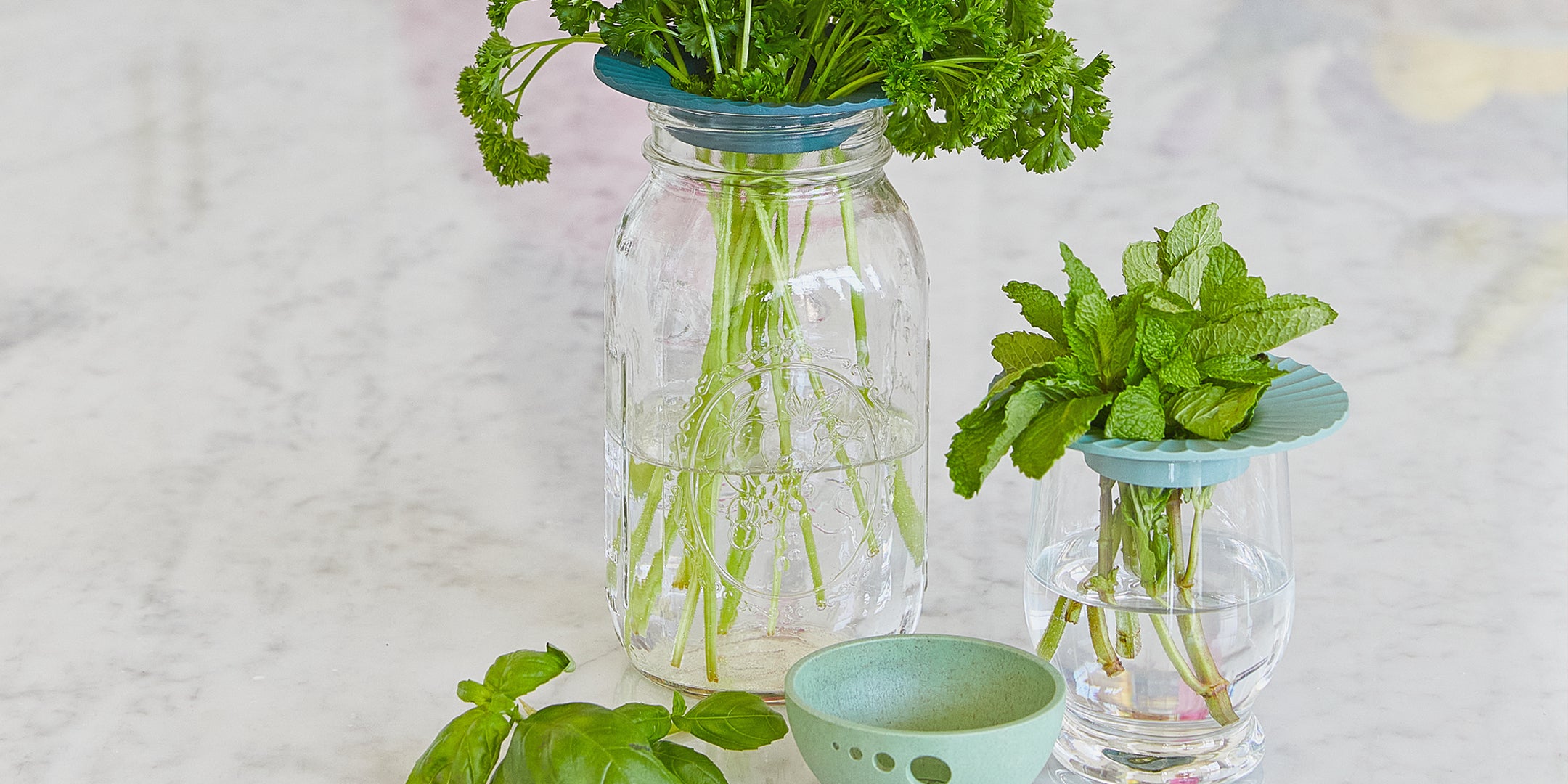 Clear glass jars filled with fresh herbs—parsley, mint, and basil—supported by teal hydroponic inserts and a small green b...