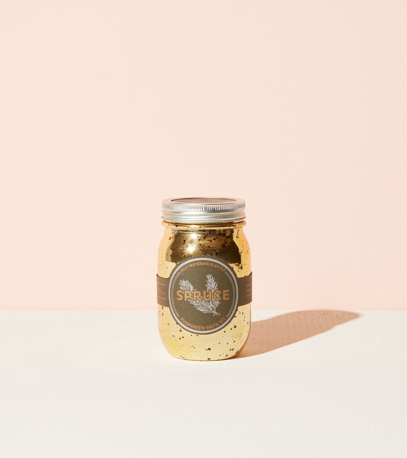 Garden Jar - Spruce Pint | Self-Watering Indoor Grow Kit | Gold