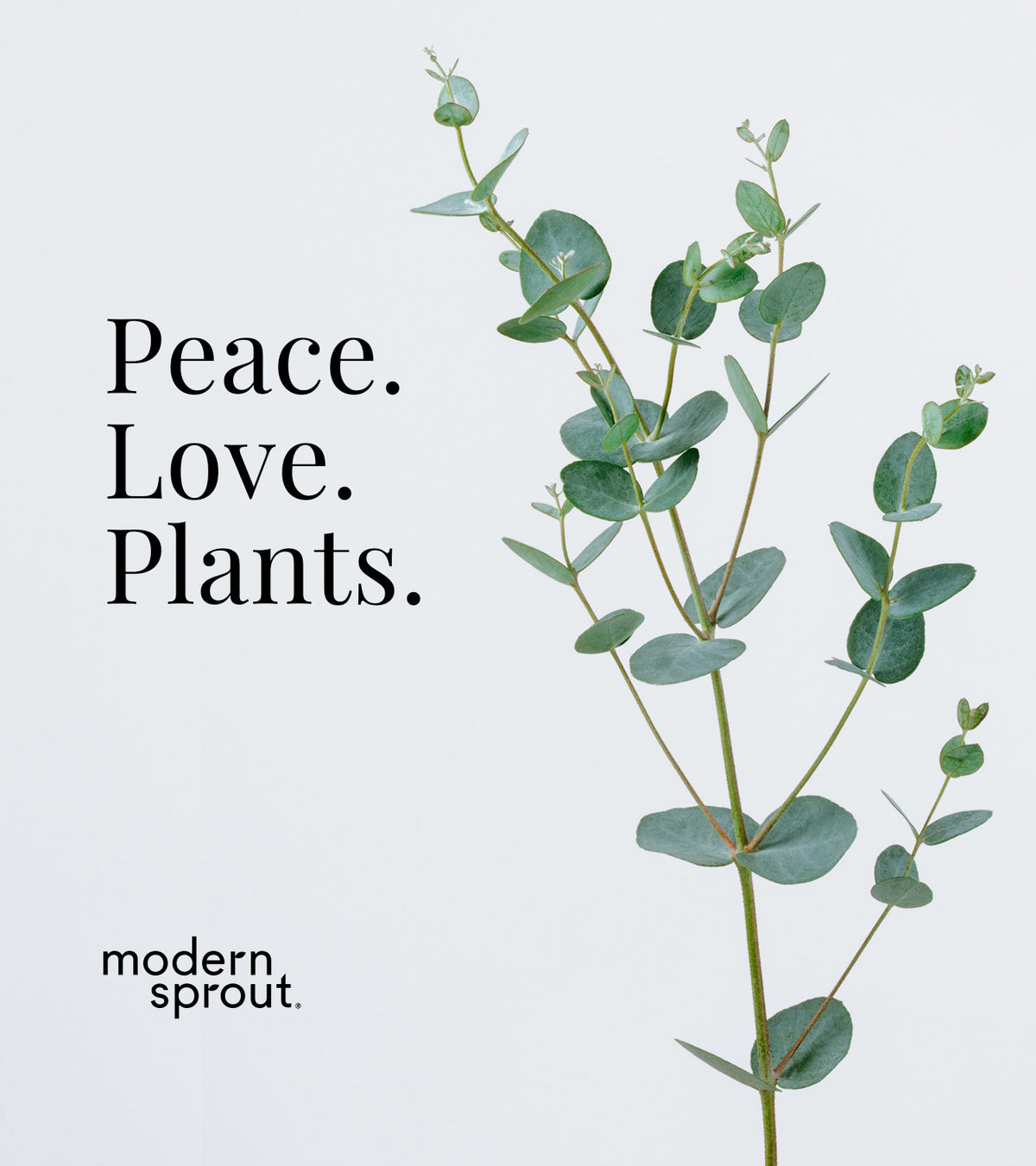 Digital gift card featuring a plant illustration with the text "Peace. Love. Plants." by Modern Sprout.