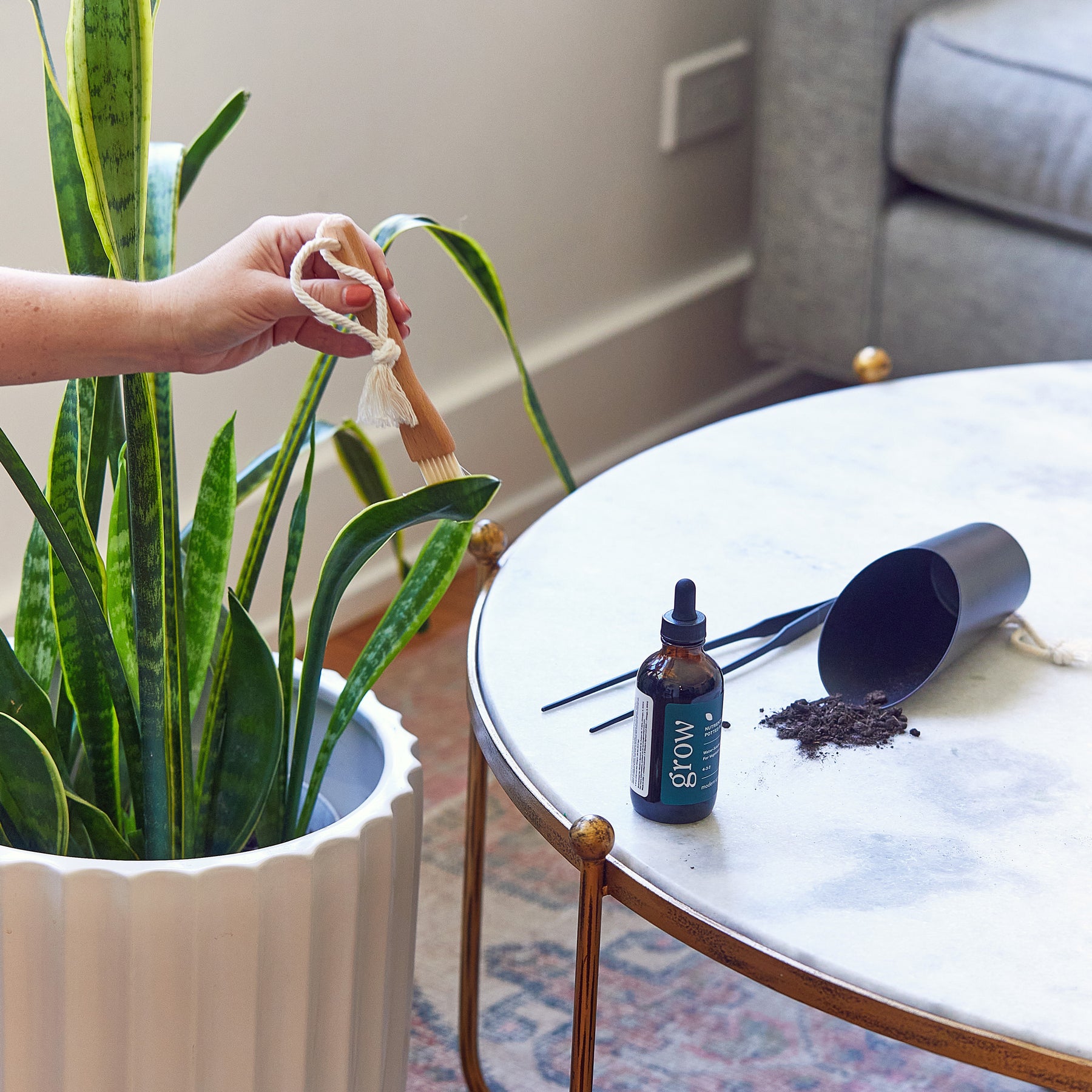 A hand using a wooden soil scoop to tend to a snake plant next to a bottle of plant care serum on a marble table.