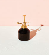 Black glass mister with a brass nozzle and handle, casting a shadow on a white surface against a pink background.