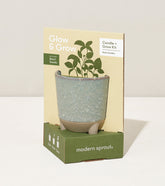 Glow & Grow Kit featuring a candle and basil seeds in a decorative pot, designed for indoor herb gardening.