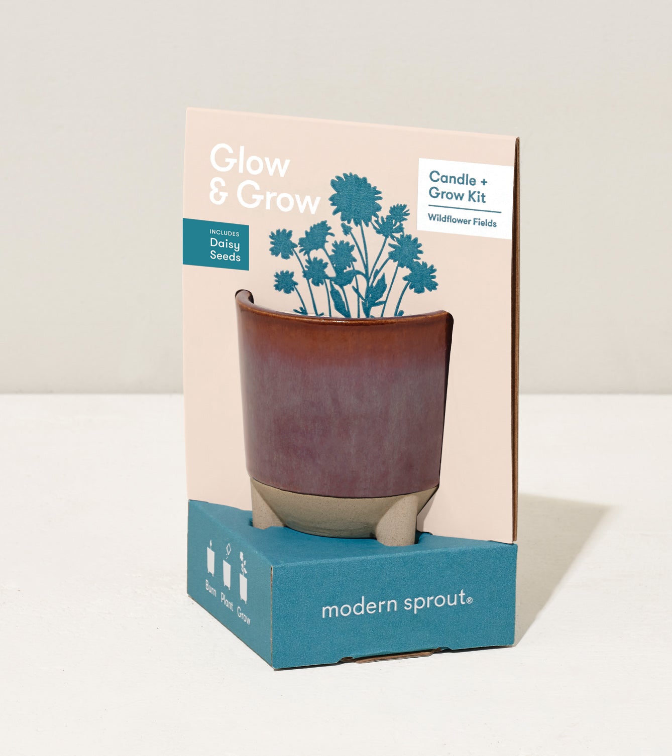 Glow & Grow Kit featuring a candle and daisy seeds, displayed in a stylish pot with a modern design.