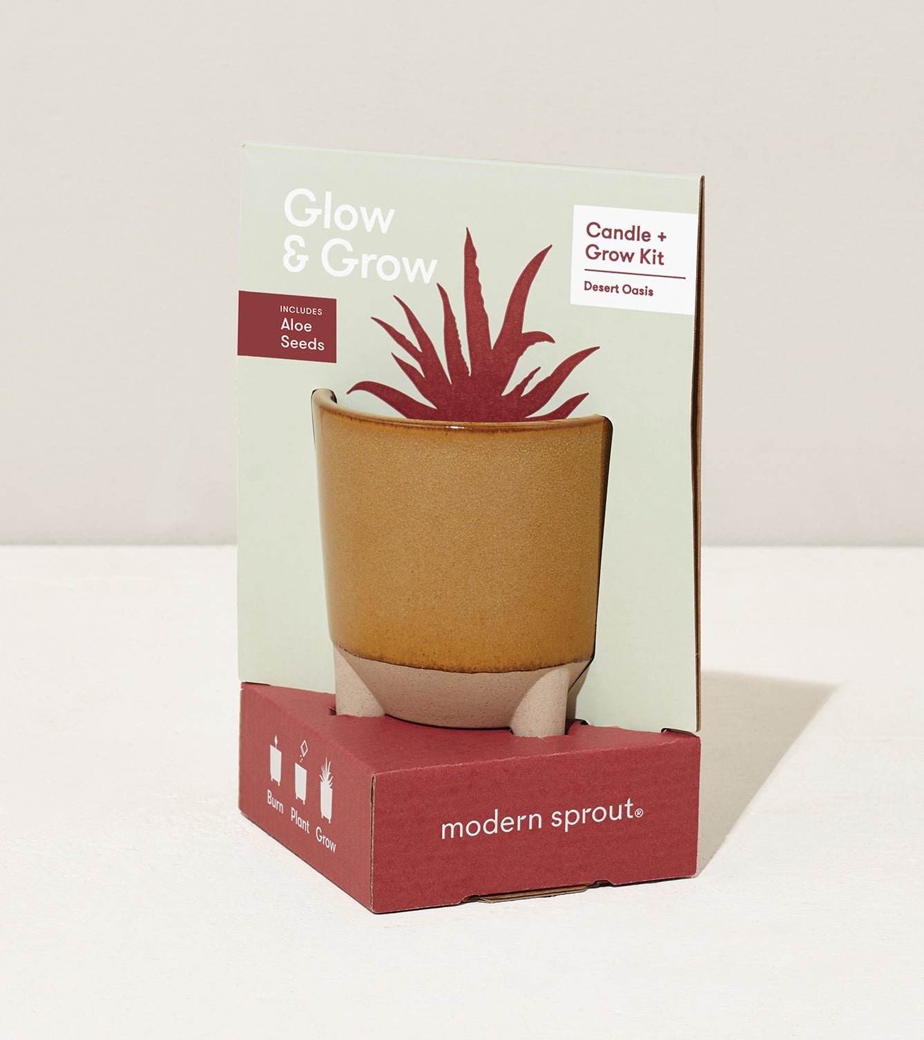 Glow & Grow Kit featuring a candle and aloe seeds in a decorative pot with a natural finish.