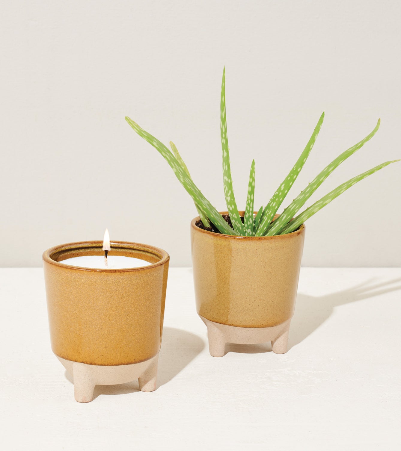 A ceramic pot with an aloe vera plant beside a candle in a matching pot, both on a white surface.
