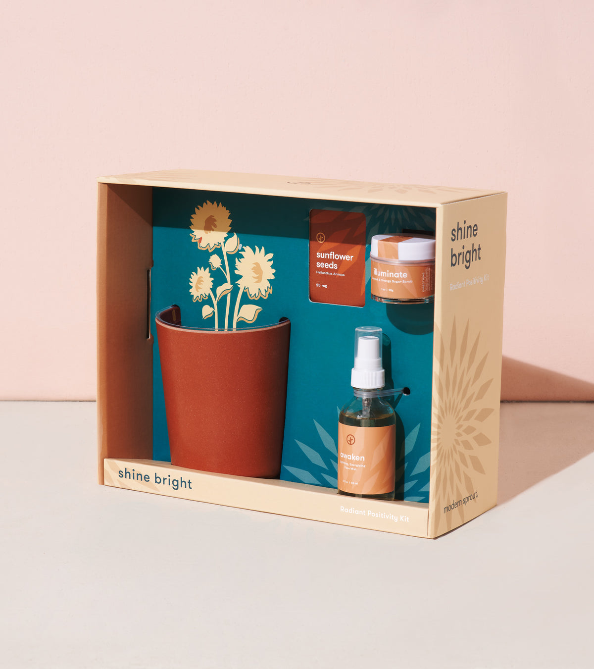 Radiant Positivity Kit featuring sunflower seeds, a spray bottle, and a terracotta pot with a floral design.