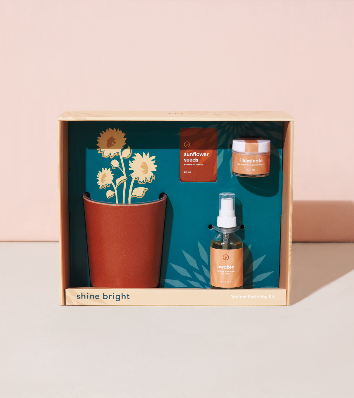 Radiant Positivity Kit featuring a terracotta pot, sunflower seeds, a spray bottle, and a jar labeled "illuminate" on a teal background.