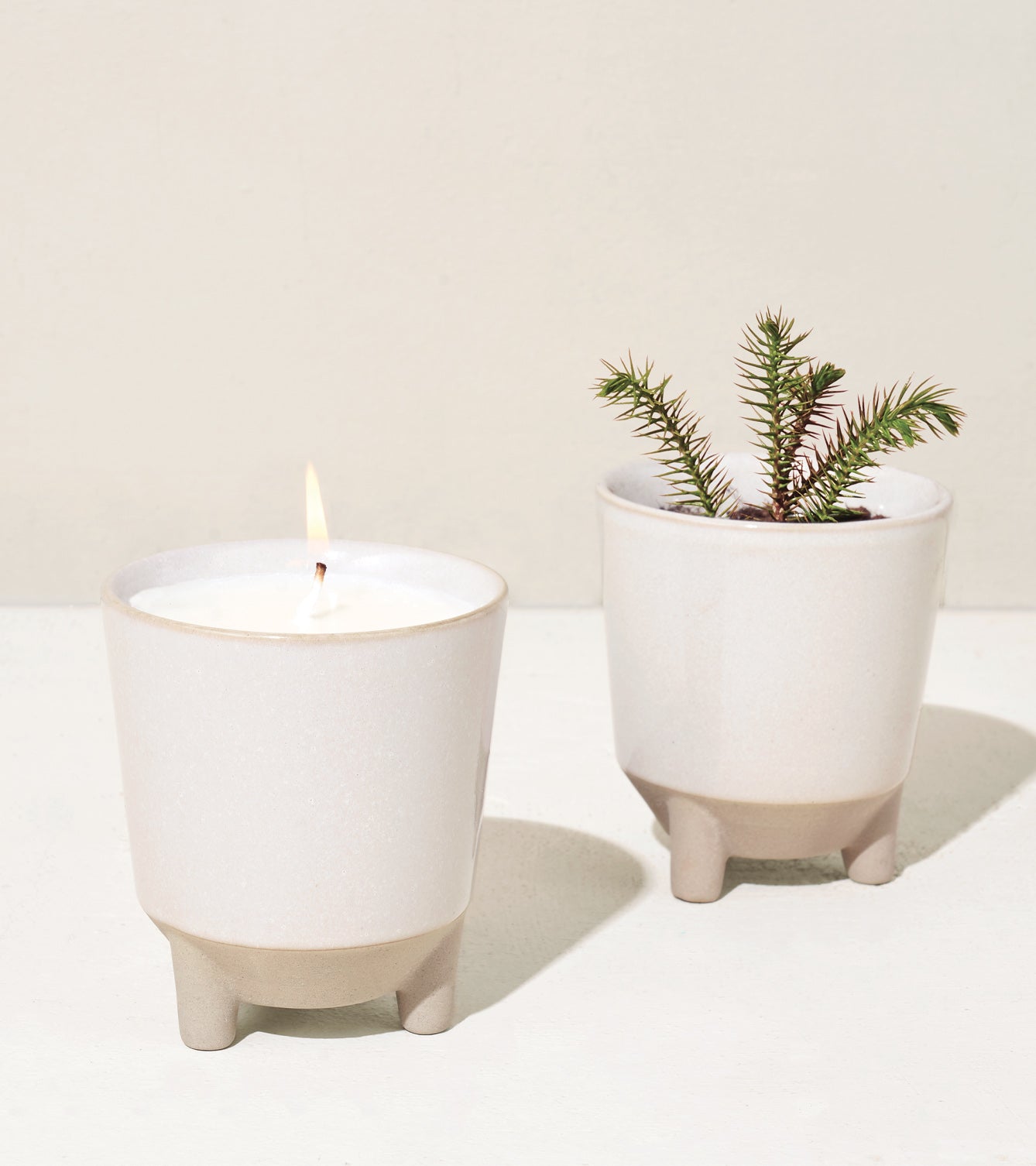 Glow & Grow Kits featuring a candle in a ceramic pot and a small potted plant in a matching pot on a light background.
