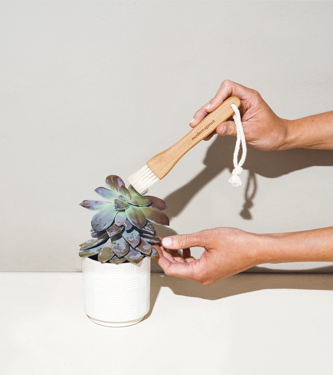 A person gently brushes dust off a succulent in a white decorative pot, showcasing the Plant Parent Botanical Gift Box Set.