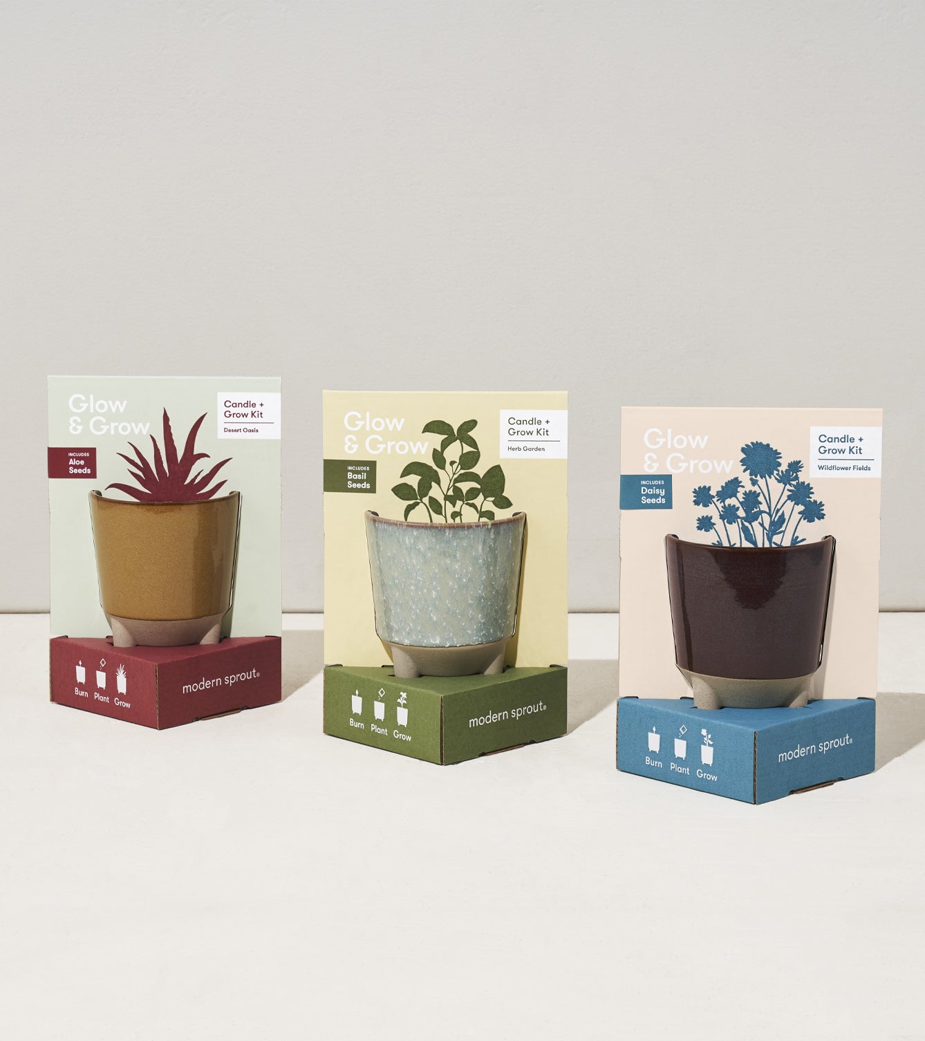 Three Glow & Grow Kits from Modern Sprout, each featuring a unique plant in decorative pots with colorful packaging.