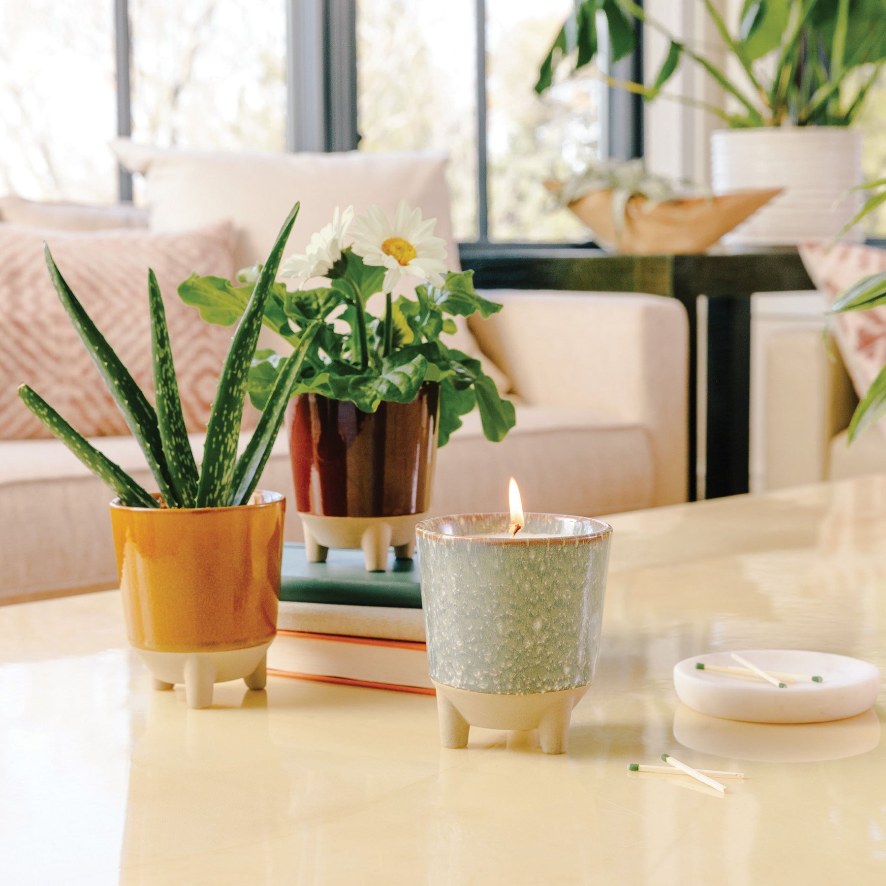 Glow & Grow Kits featuring potted plants and a candle on a coffee table in a bright, modern living space.