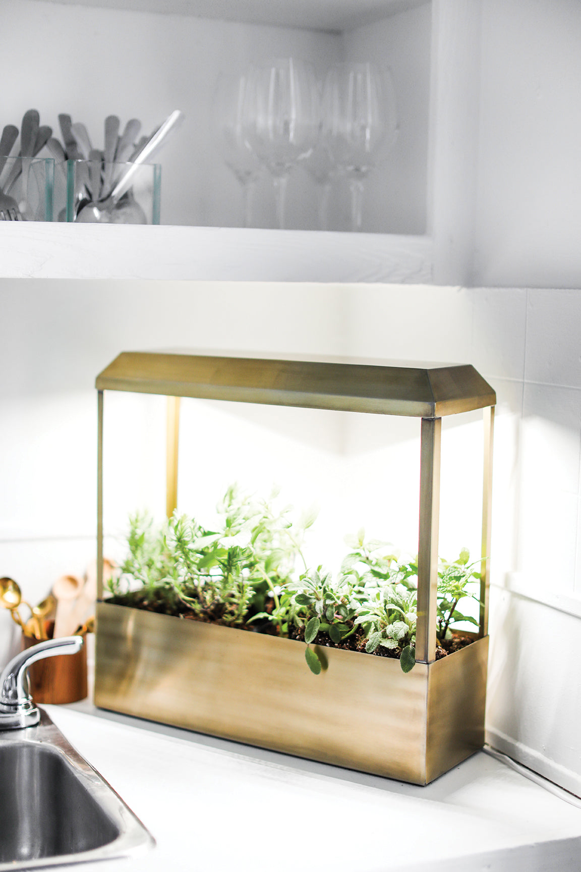 Smart Growhouse with a sleek brass design, featuring vibrant green plants illuminated by built-in lighting on a kitchen counter.