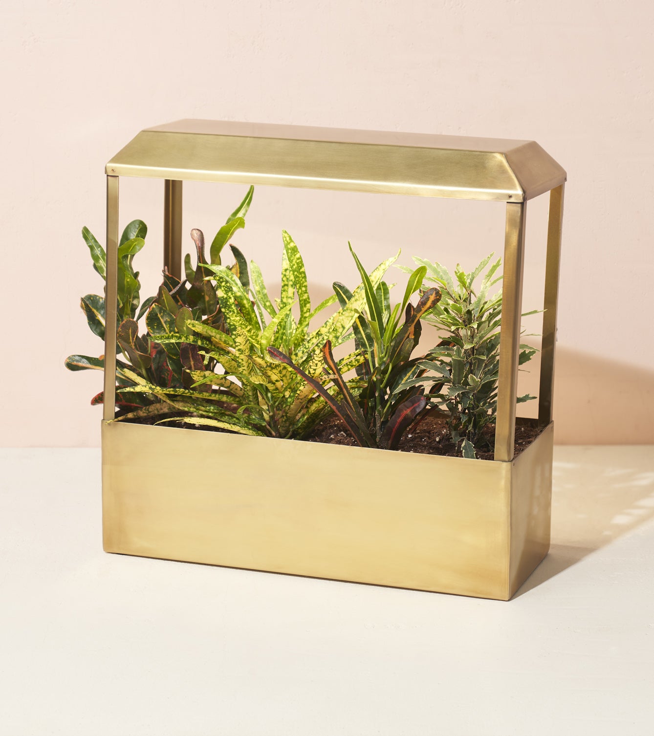 Stylish Smart Growhouse with a brass frame, featuring various lush indoor plants in a soil base.