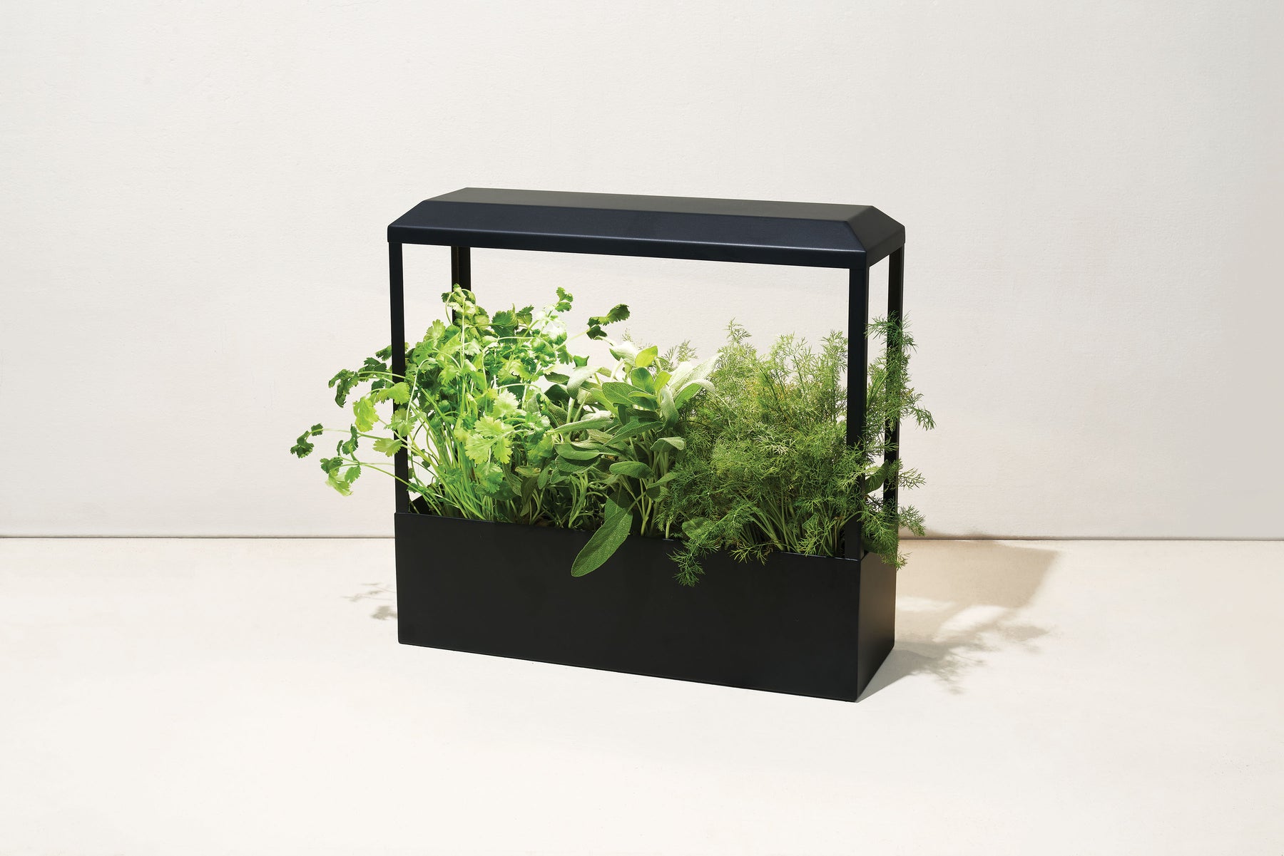 Smart Growhouse with vibrant herbs and greens in a sleek black planter, designed for indoor gardening.
