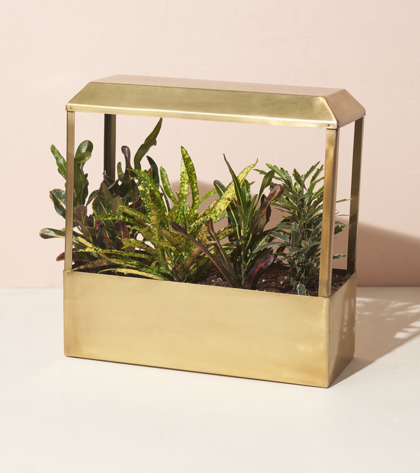 Modern brass Smart Growhouse with various indoor plants, featuring a transparent enclosure for optimal growth.