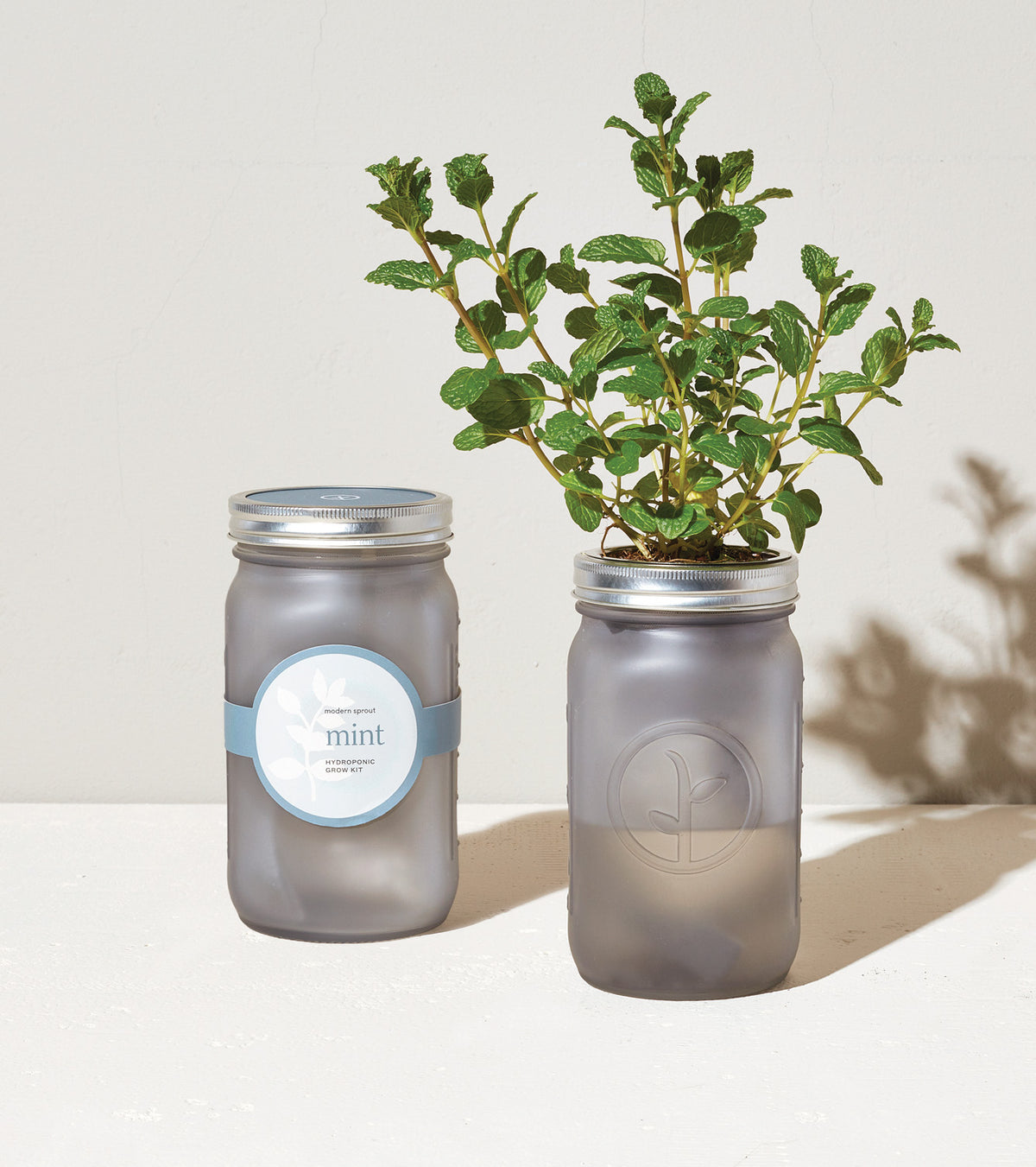 Frosted glass garden jar with a mint plant, featuring a label and a silver lid, set against a neutral background.