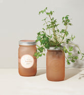 Glass garden jar with a silver lid, featuring fresh parsley growing inside. The jar has a soft, frosted finish.