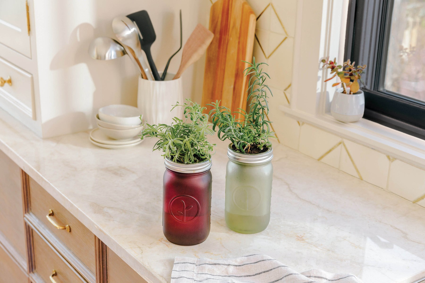 Two garden jars with lavender plants sit on a kitchen countertop, surrounded by kitchen utensils and natural light.