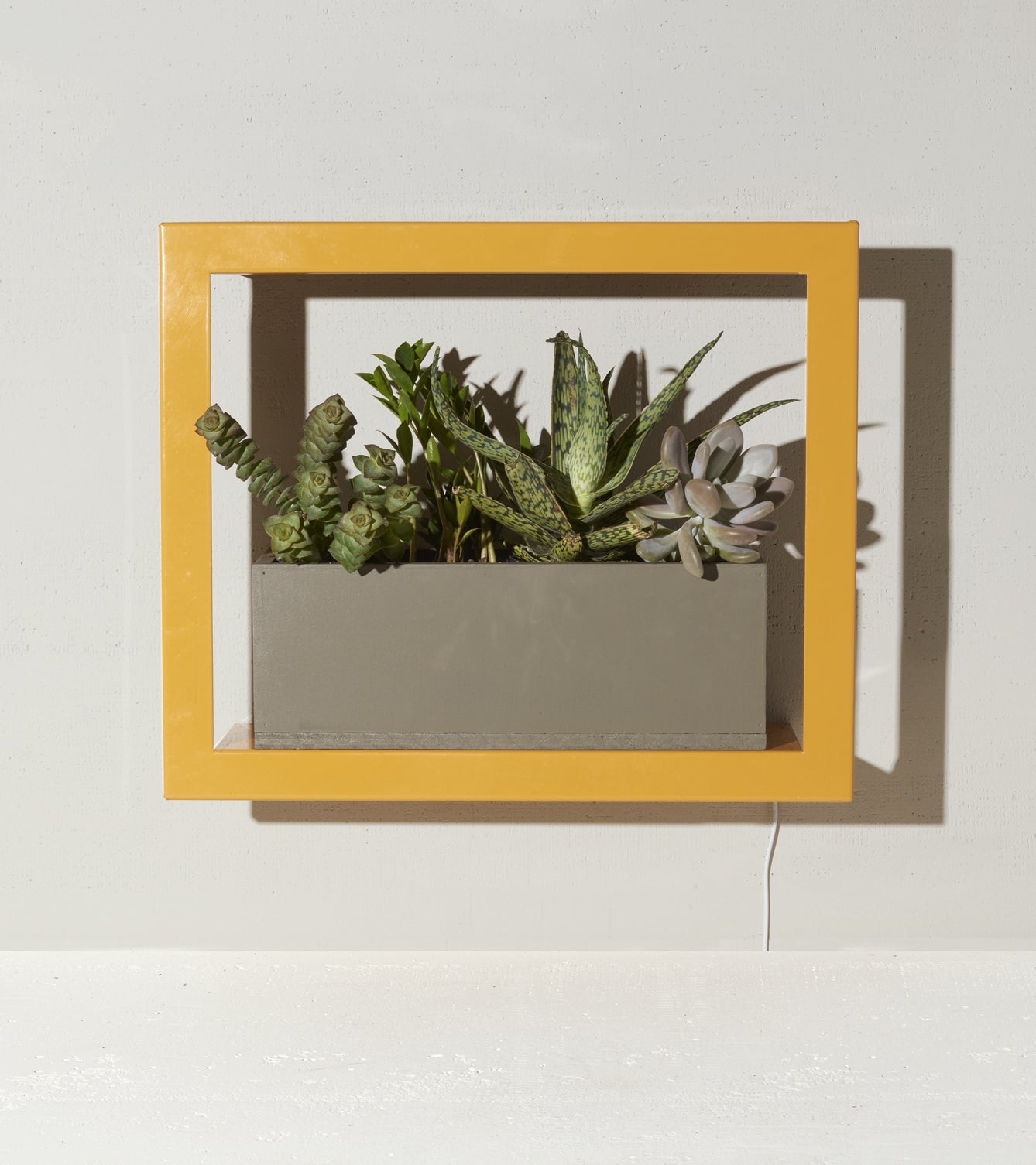Smart Standard Growframe featuring a modern yellow frame with a planter holding various succulents and greenery.