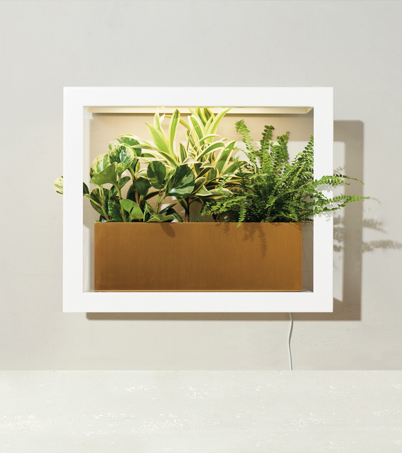 Smart Standard Growframe featuring a modern white frame with vibrant green plants in a sleek bronze planter.