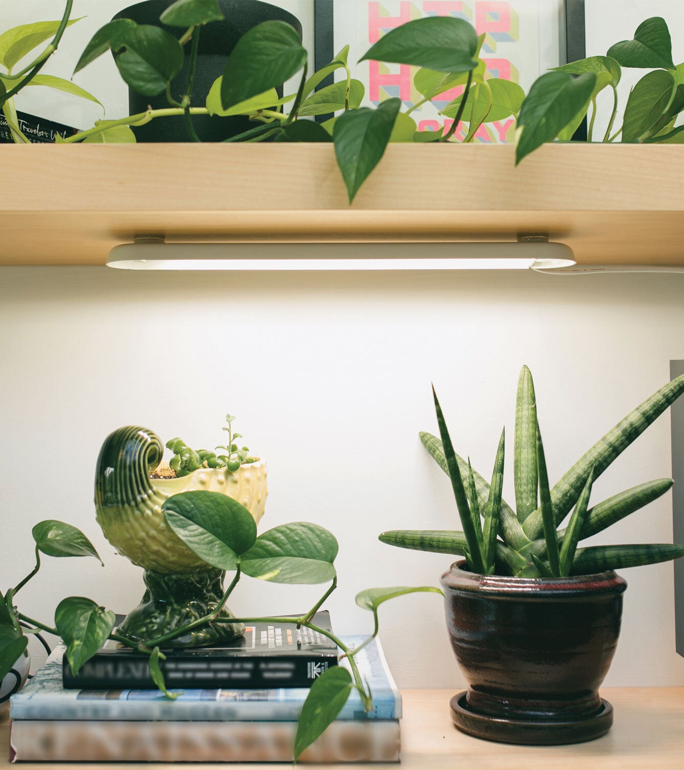 Smart Growbar illuminating plants on a shelf, enhancing growth with a sleek design and modern aesthetic.
