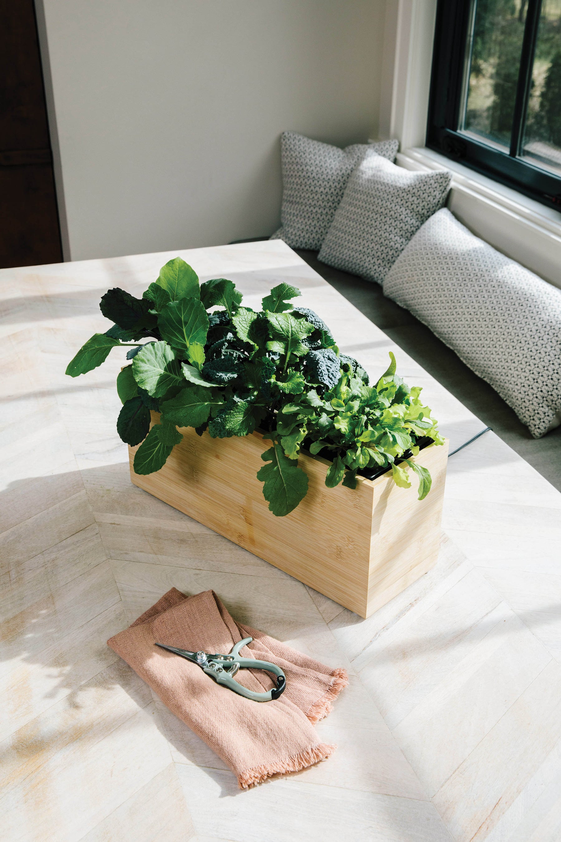 Bamboo Planter Box