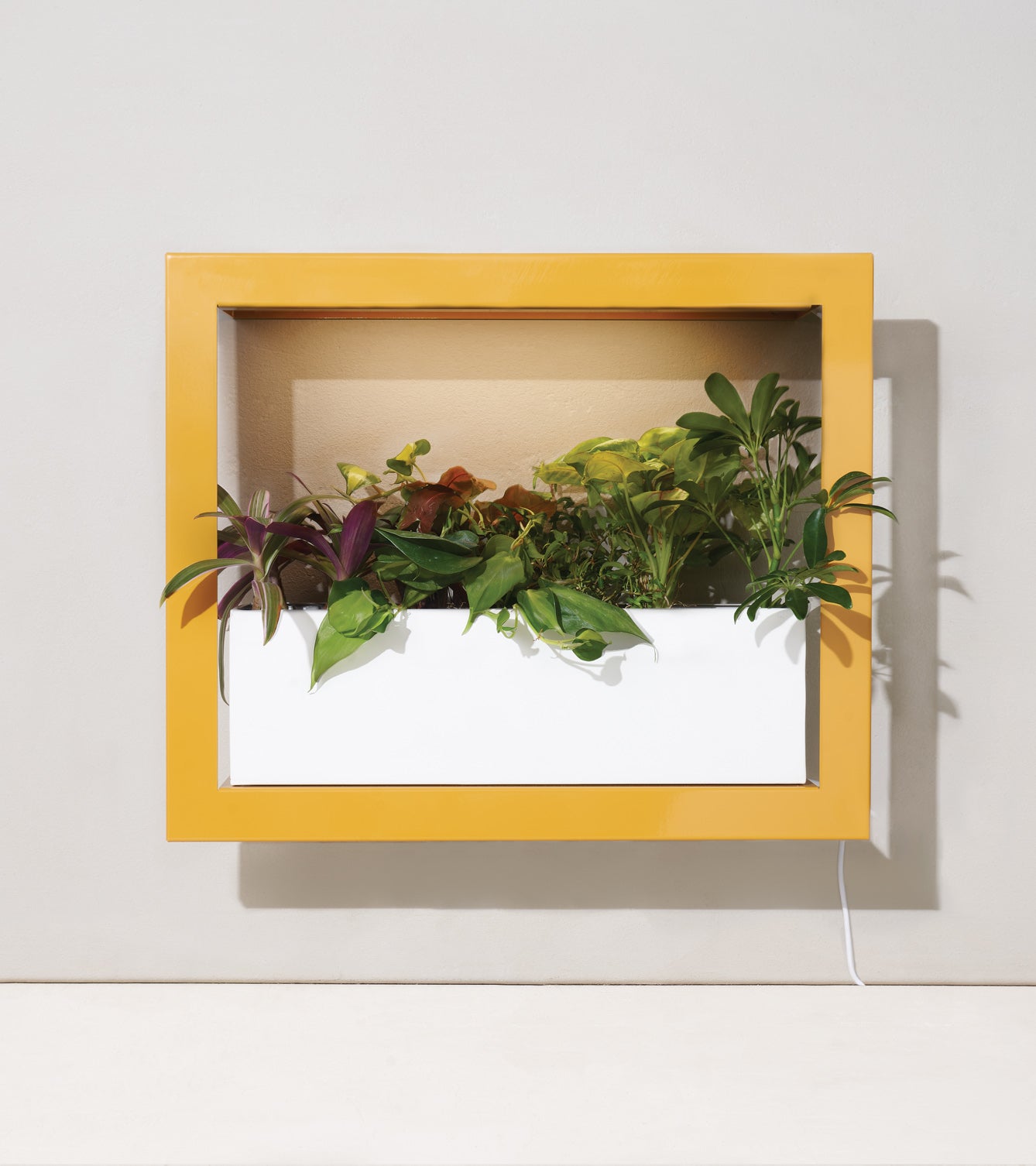 Planter Box