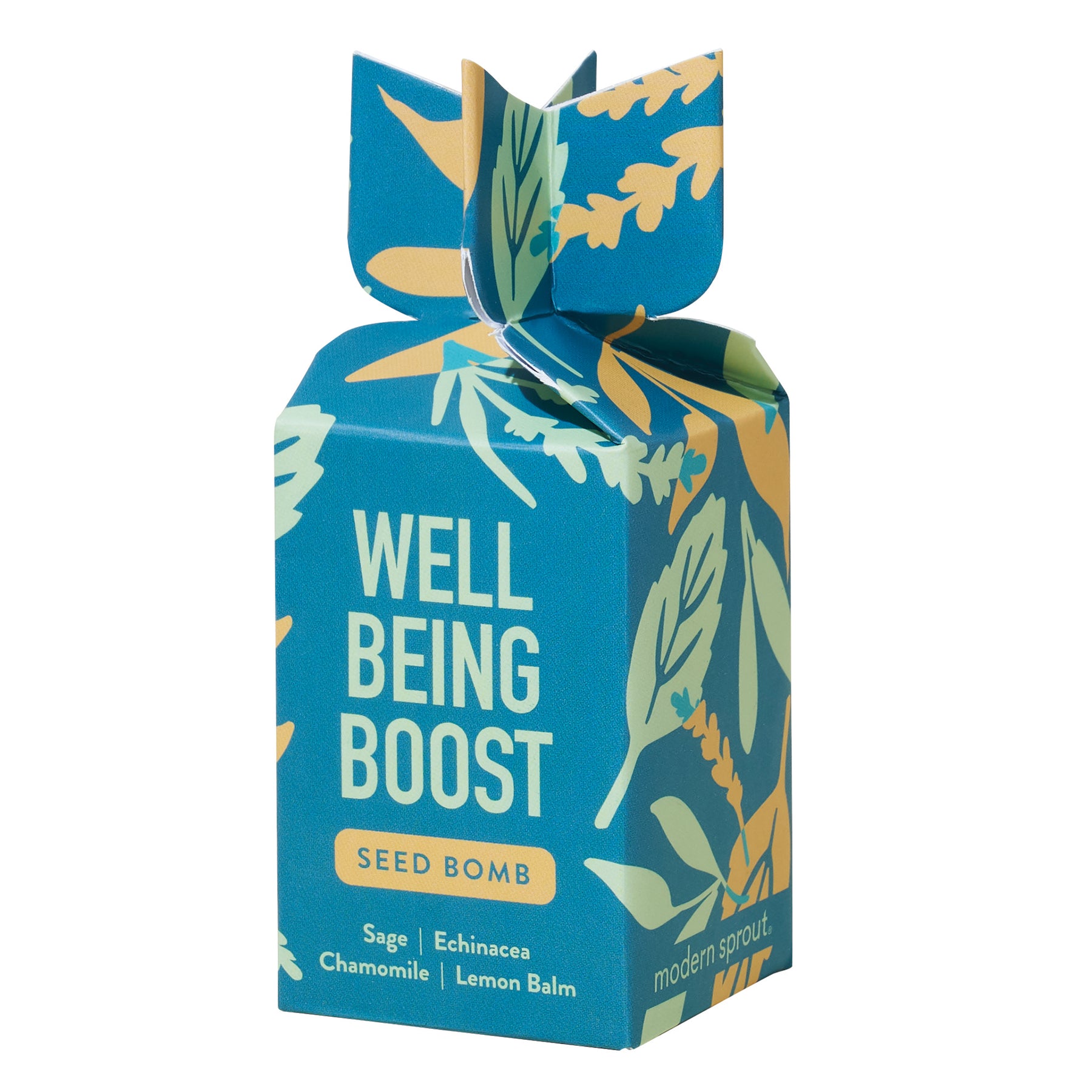 Colorful seed bomb packaging featuring botanical illustrations and text that reads "Well Being Boost" with herb names.