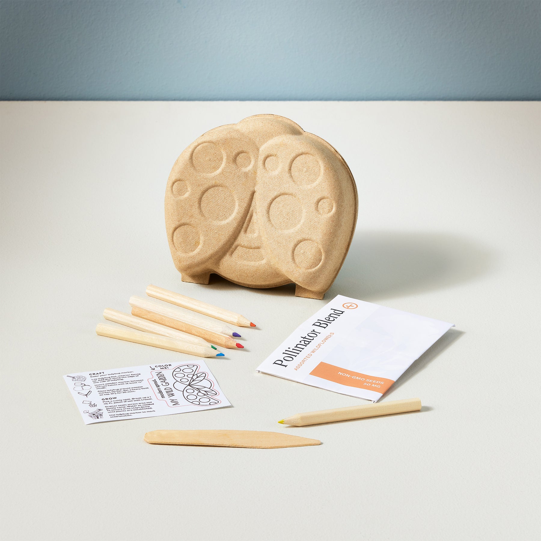 Curious Critters Garden Kit featuring a ladybug-shaped planter, colored pencils, planting instructions, and wooden tools.