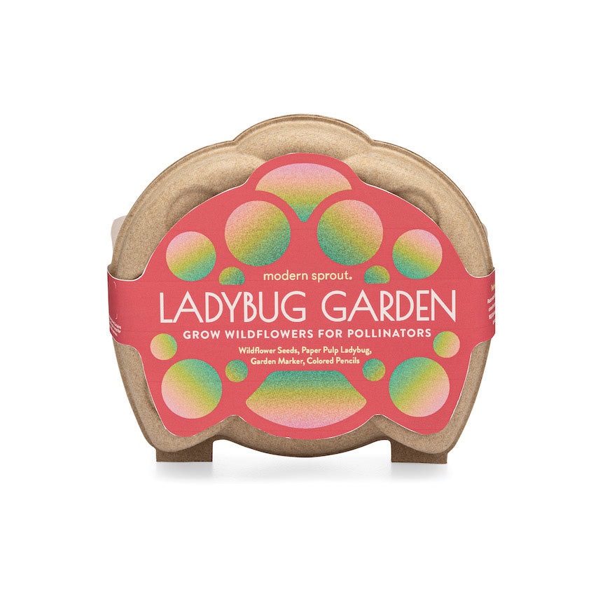 Curious Critters Ladybug Garden Kit packaging featuring colorful design, promoting wildflower growth for pollinators.