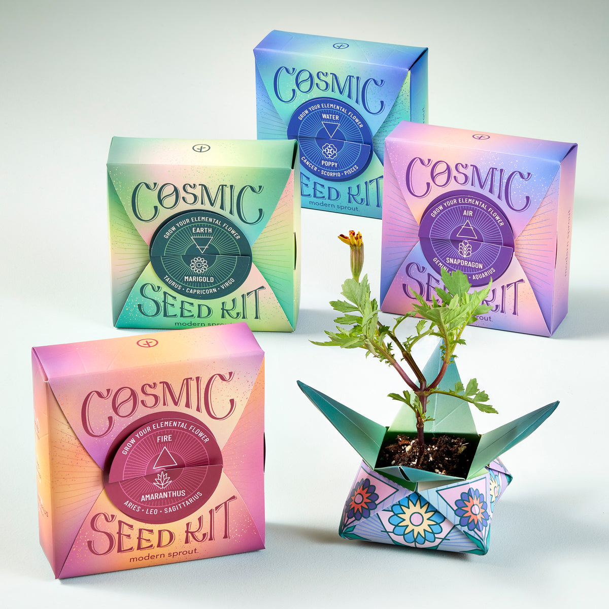 Colorful Cosmic Seed Kits displayed with a small plant growing from one kit, showcasing unique packaging designs.