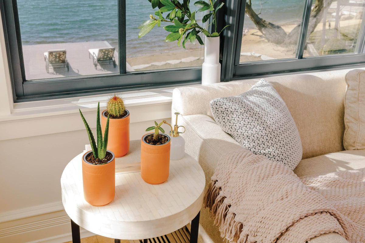 Terracotta grow kits with cacti and succulents on a side table by a sunny window overlooking a beach.