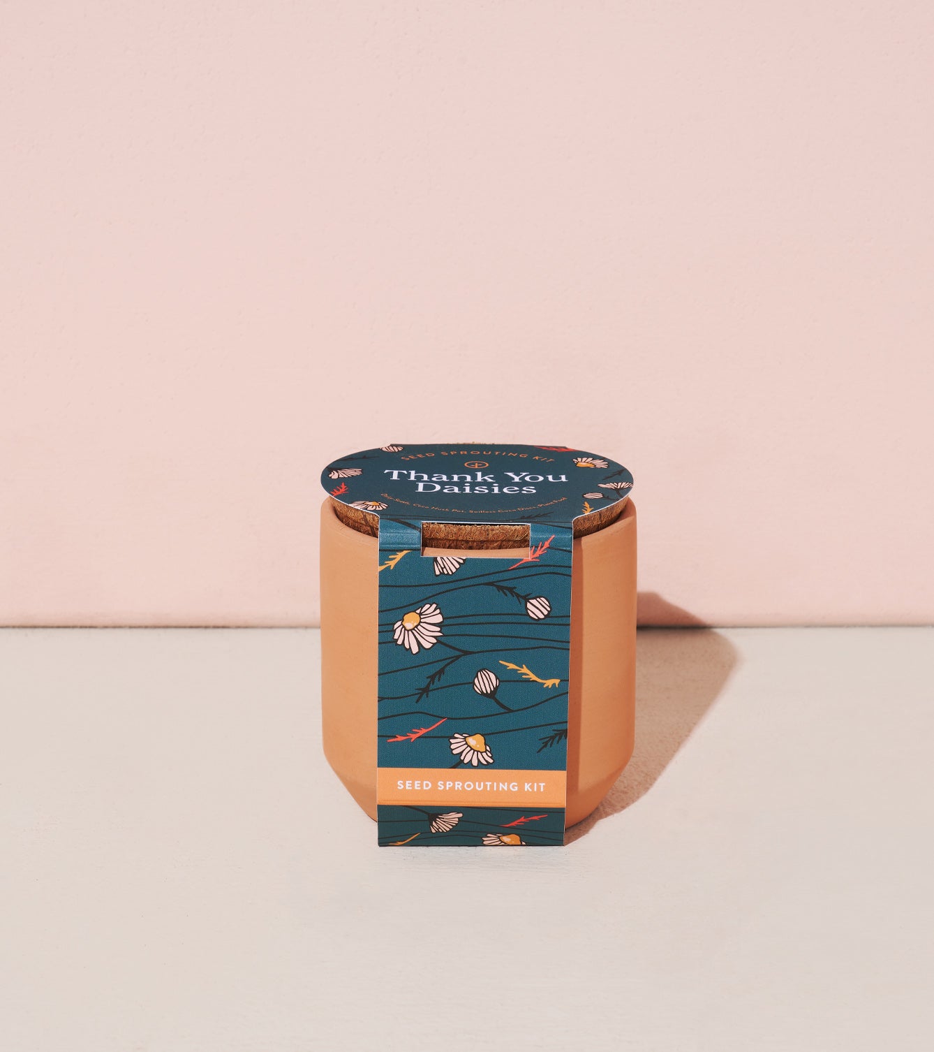 Tiny Terracotta Kit featuring a floral design on the lid and a simple terracotta pot, set against a pastel pink background.