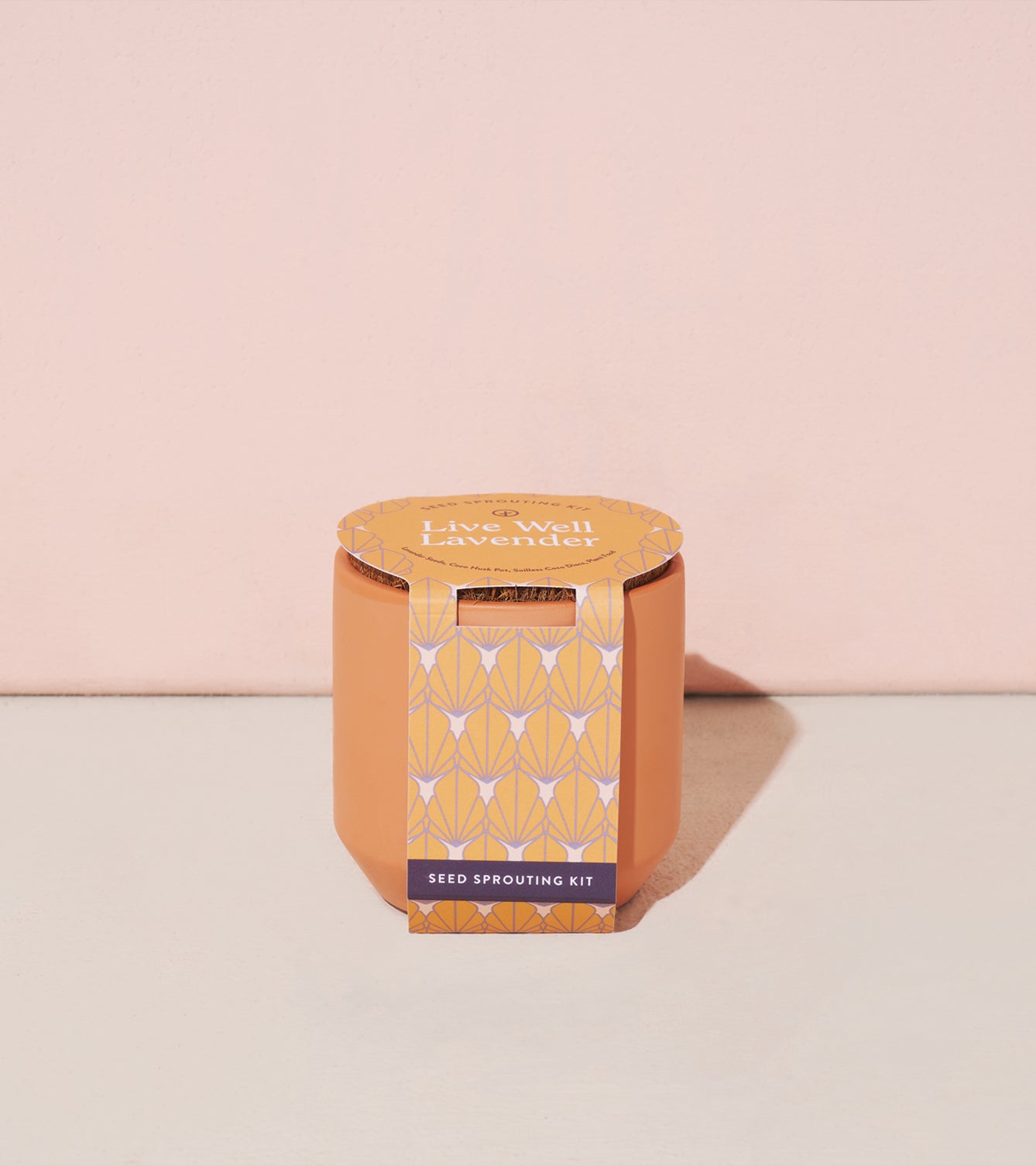 Tiny Terracotta Kit featuring a lavender seed sprouting kit in an orange pot with a patterned label against a pink background.