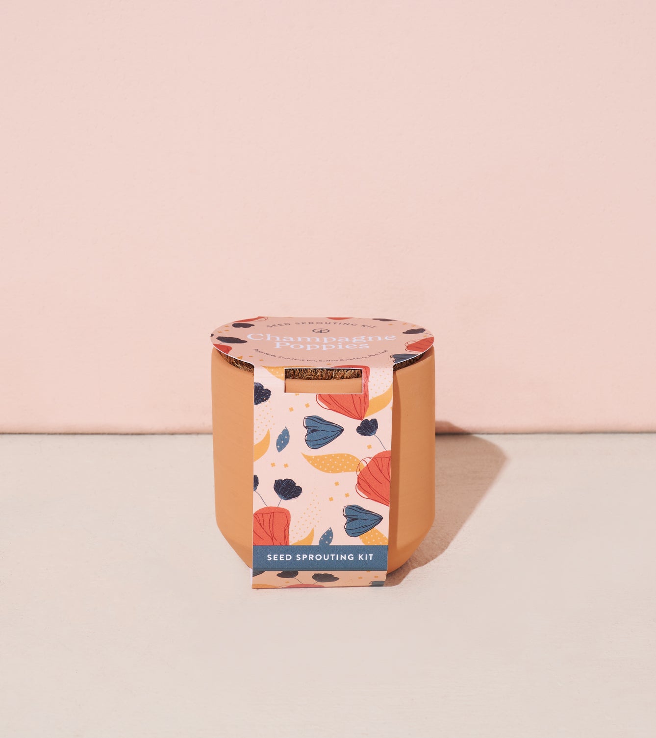 Tiny Terracotta Seed Sprouting Kit with colorful packaging featuring floral designs against a soft pink background.