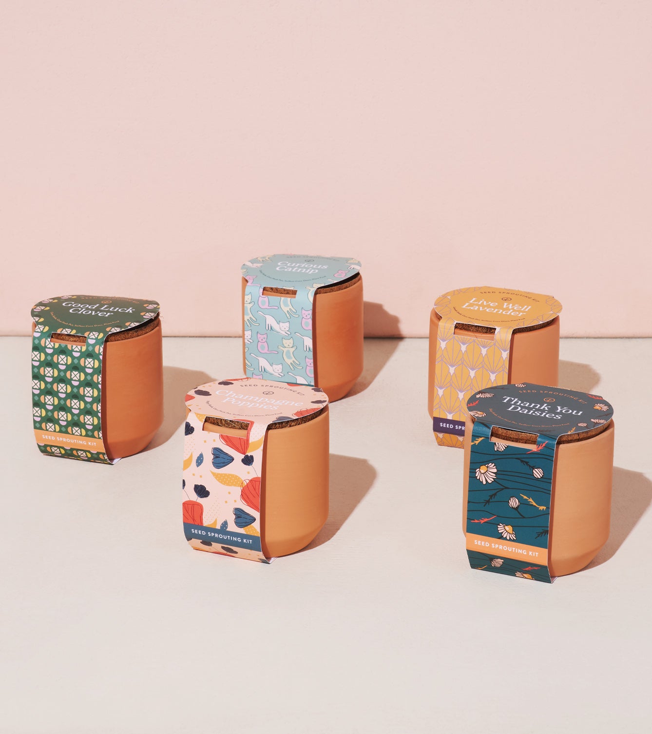 Five tiny terracotta kits with colorful packaging, each featuring unique designs and labels, arranged on a light surface.