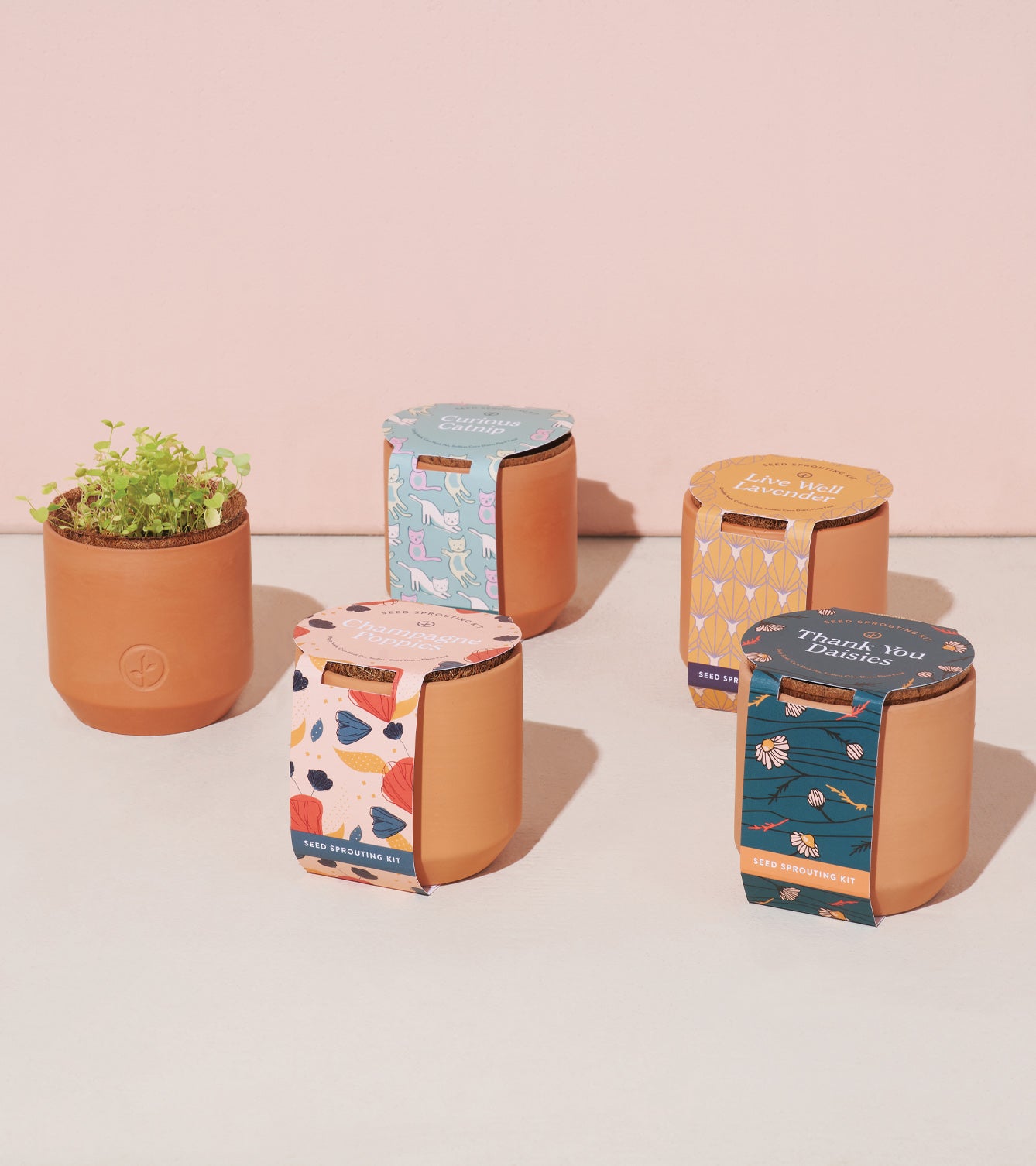 Tiny Terracotta Kits featuring small pots with vibrant seed starter packaging and a sprouting plant in the foreground.