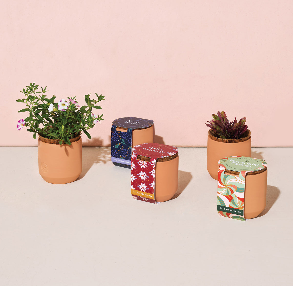 Four tiny terracotta pots with colorful holiday-themed labels, each containing small plants, set against a pink background.