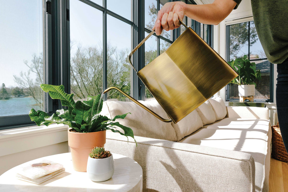 A person holds a stylish brass watering can above a potted plant on a table, with sunlight streaming through large windows.