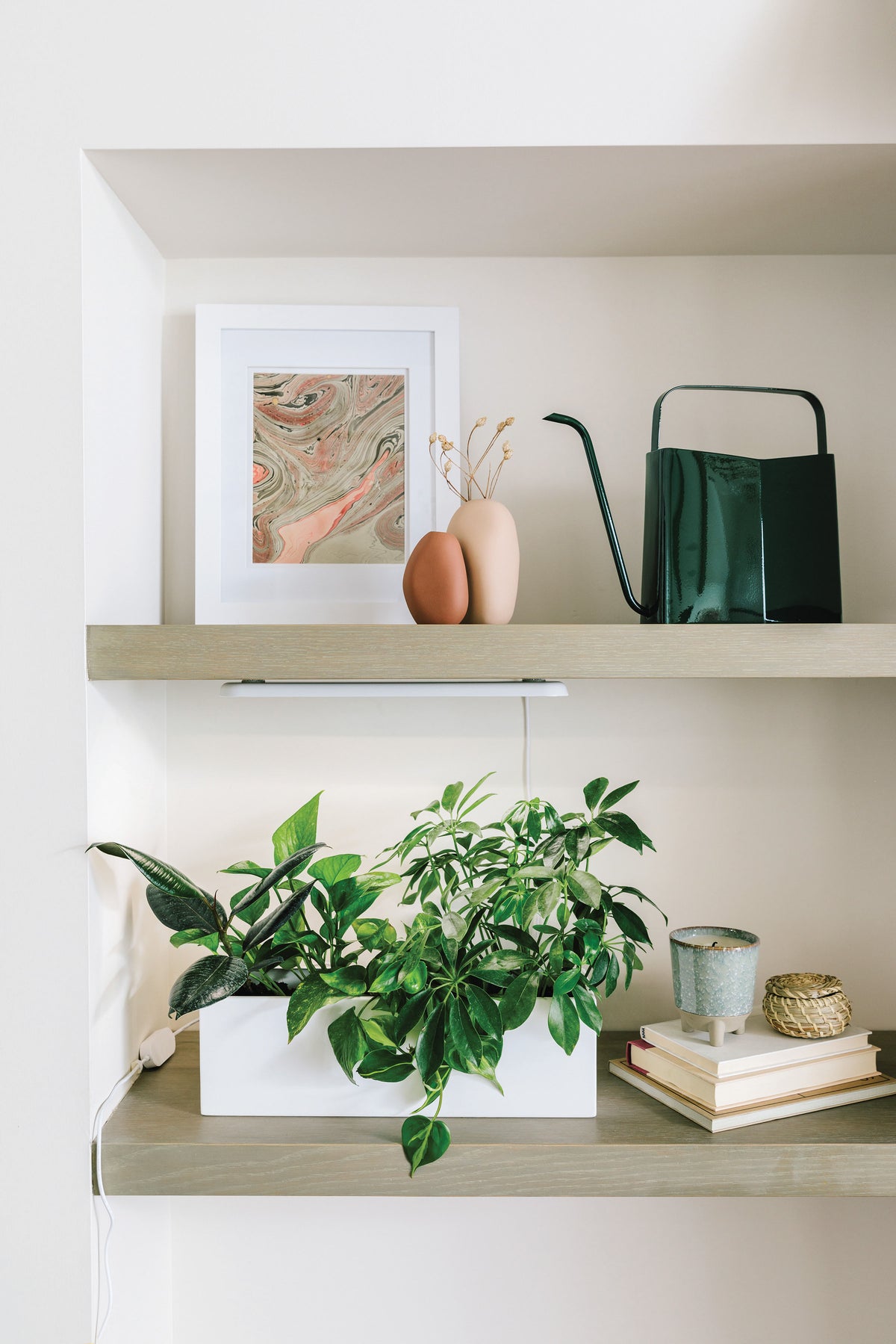 White planter box with lush green plants on a wooden shelf, accompanied by decorative items and a watering can.