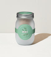 Frosted glass jar labeled Mint, designed for hydroponic planting, includes organic seeds for growing herbs.