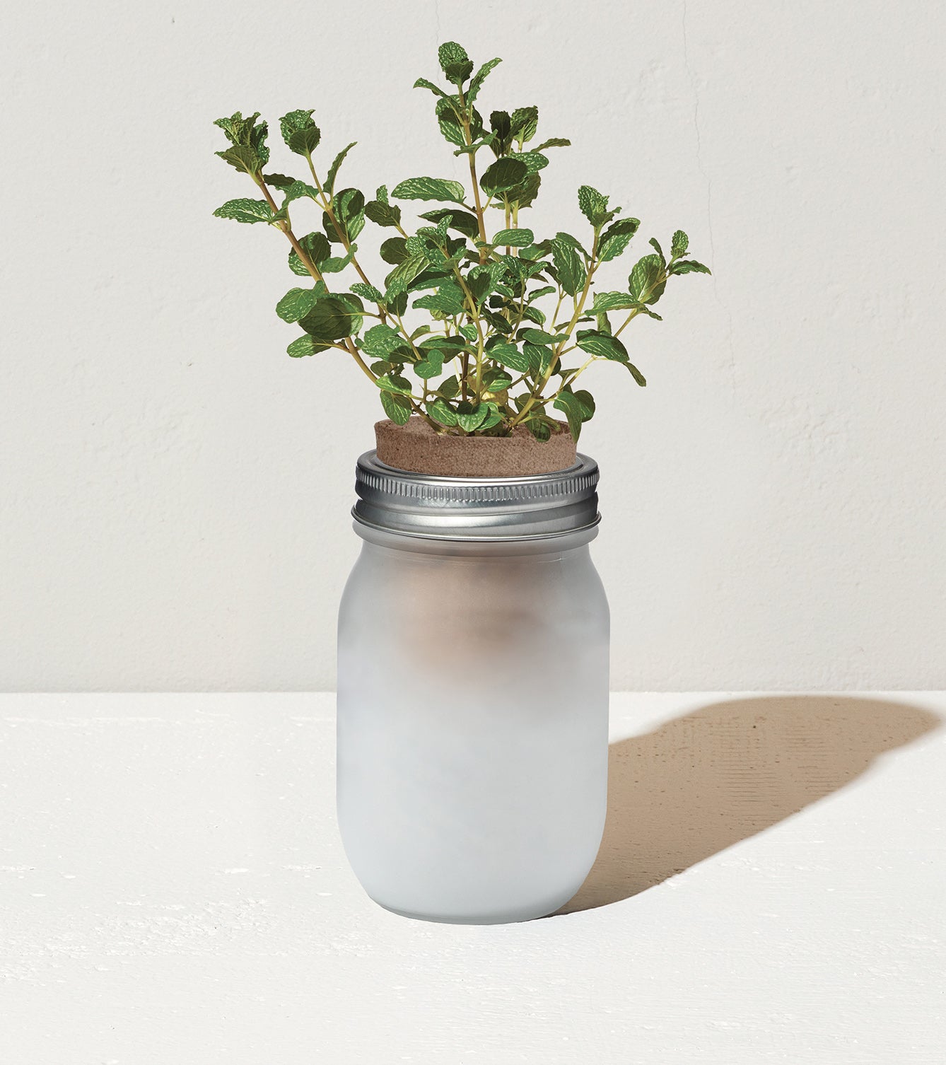 Pint-Sized Garden Jars