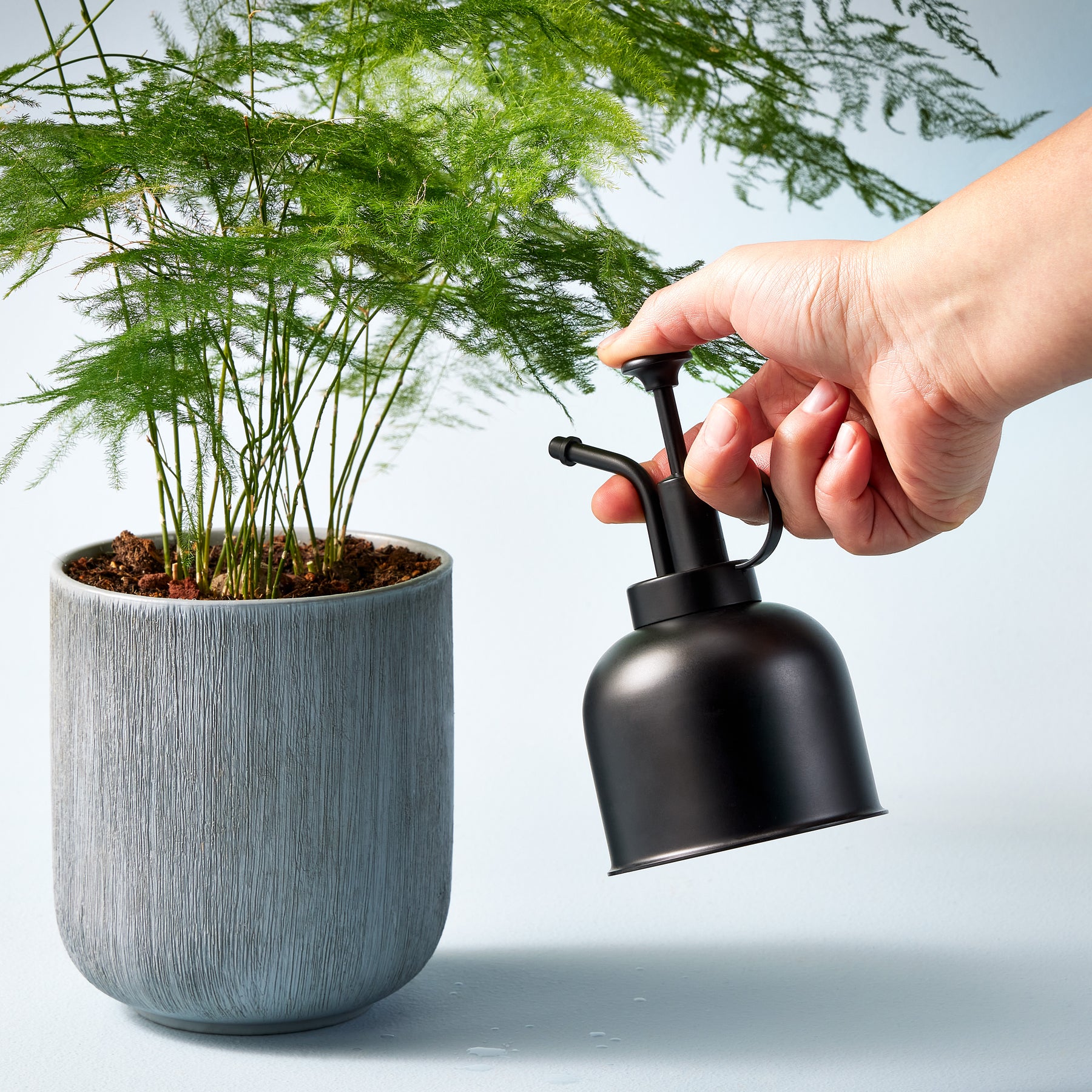 Hand holding a black mister above a potted plant, demonstrating watering technique for indoor greenery.