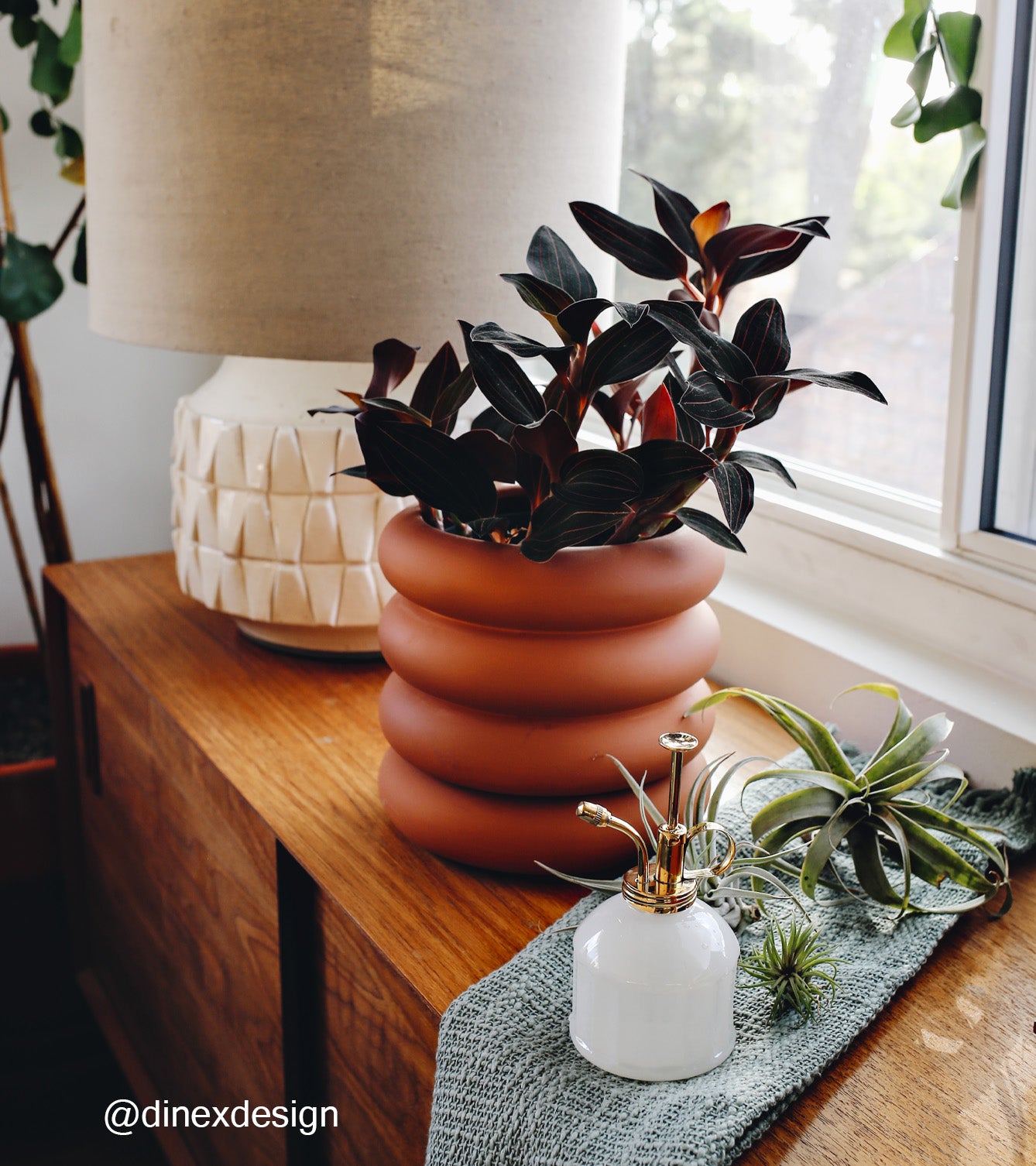 A stylish indoor scene featuring a terracotta planter with dark green leaves, a decorative lamp, and a glass mister on a wooden surface.