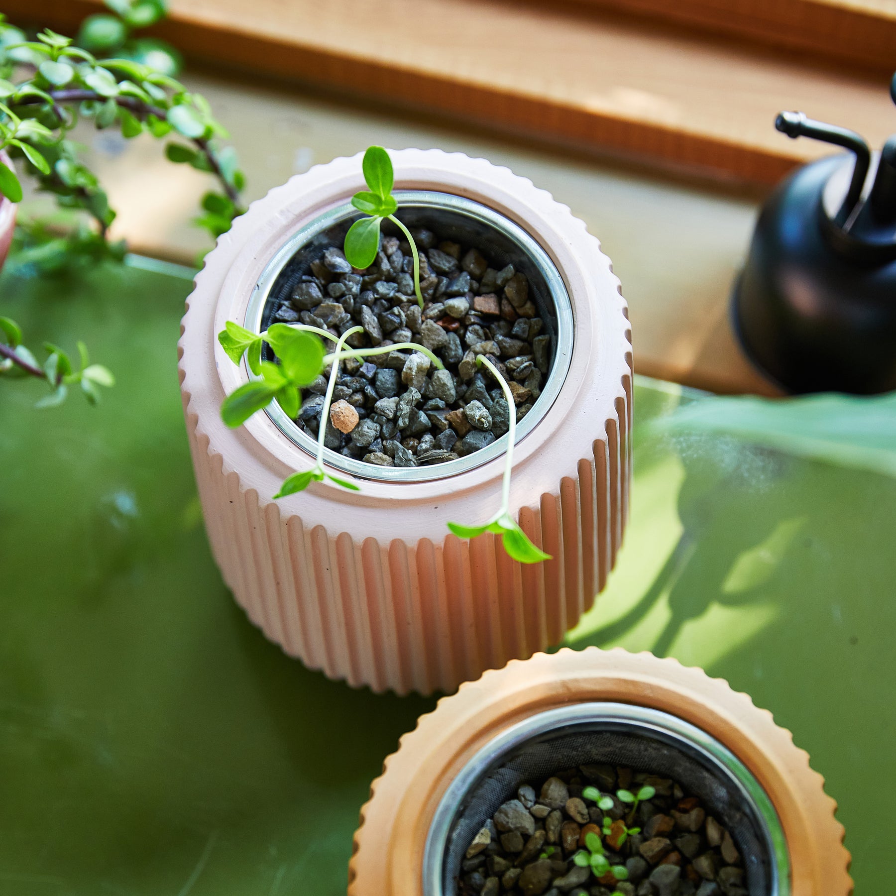 Flower grow kits featuring modern planters with seedlings emerging from gravel, set on a bright, natural surface.