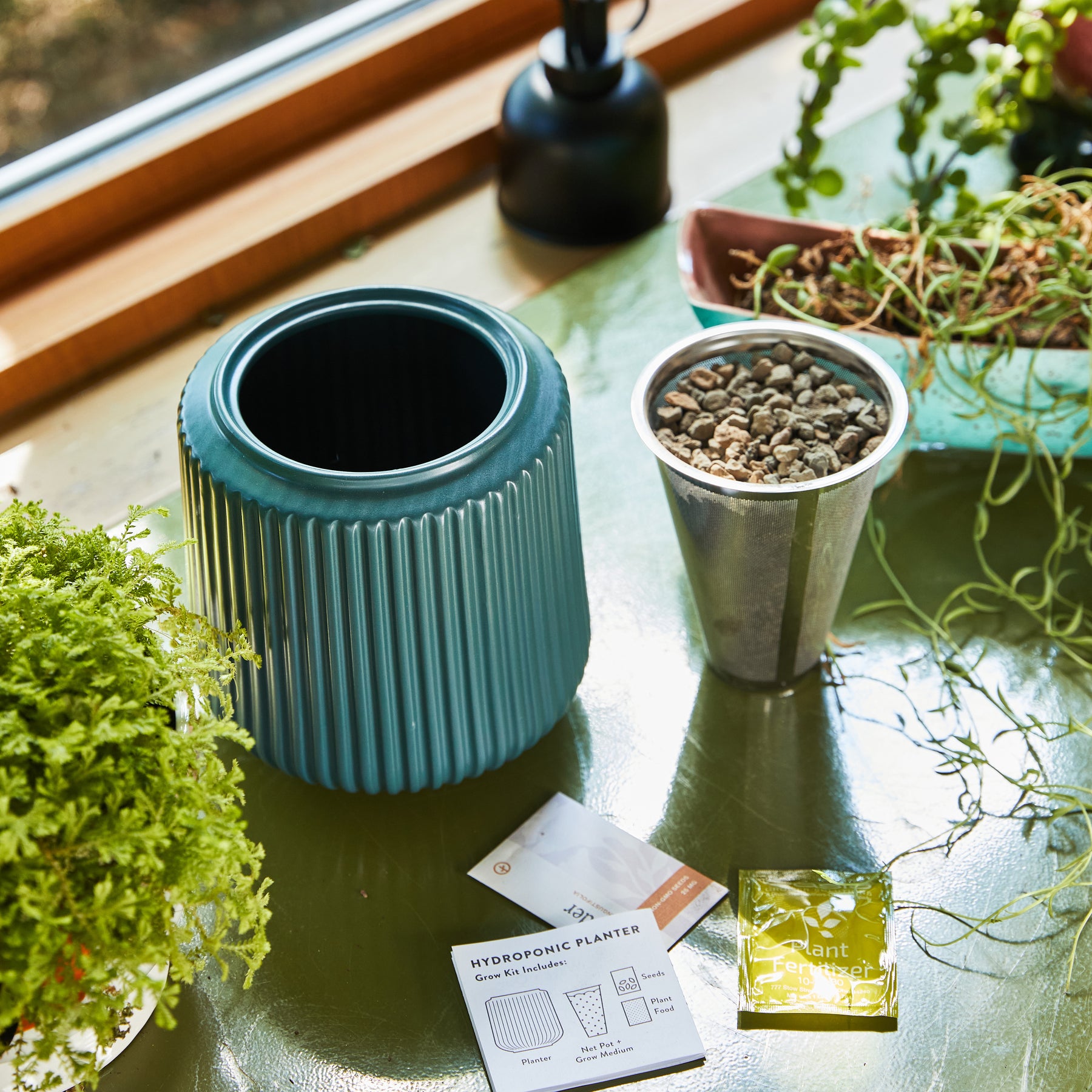 Hydroponic flower grow kit featuring a ribbed teal planter, metal cup, plant food packet, and growing instructions on a table.