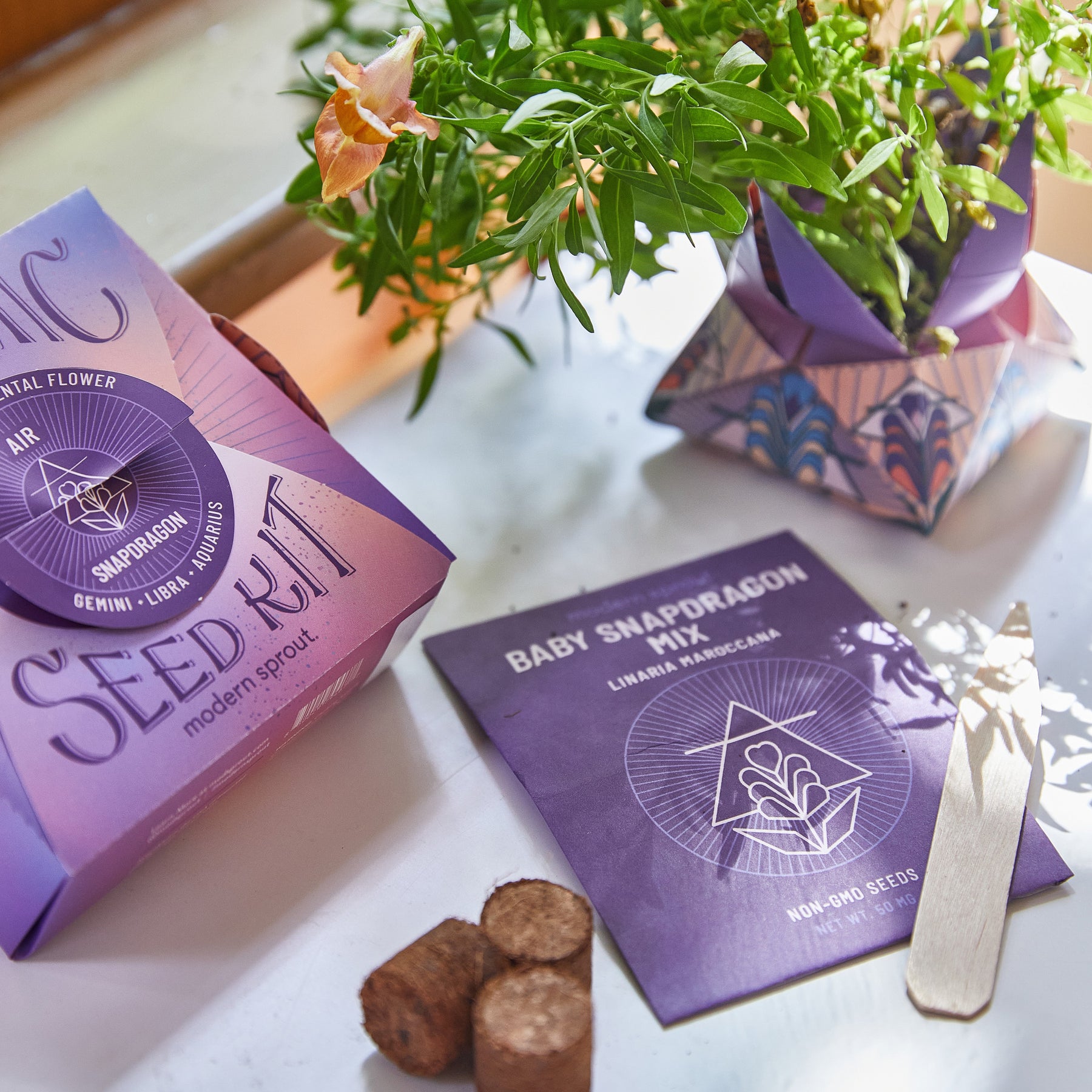 Cosmic Seed Kits featuring Baby Snapdragon seeds and a colorful planting container on a table.