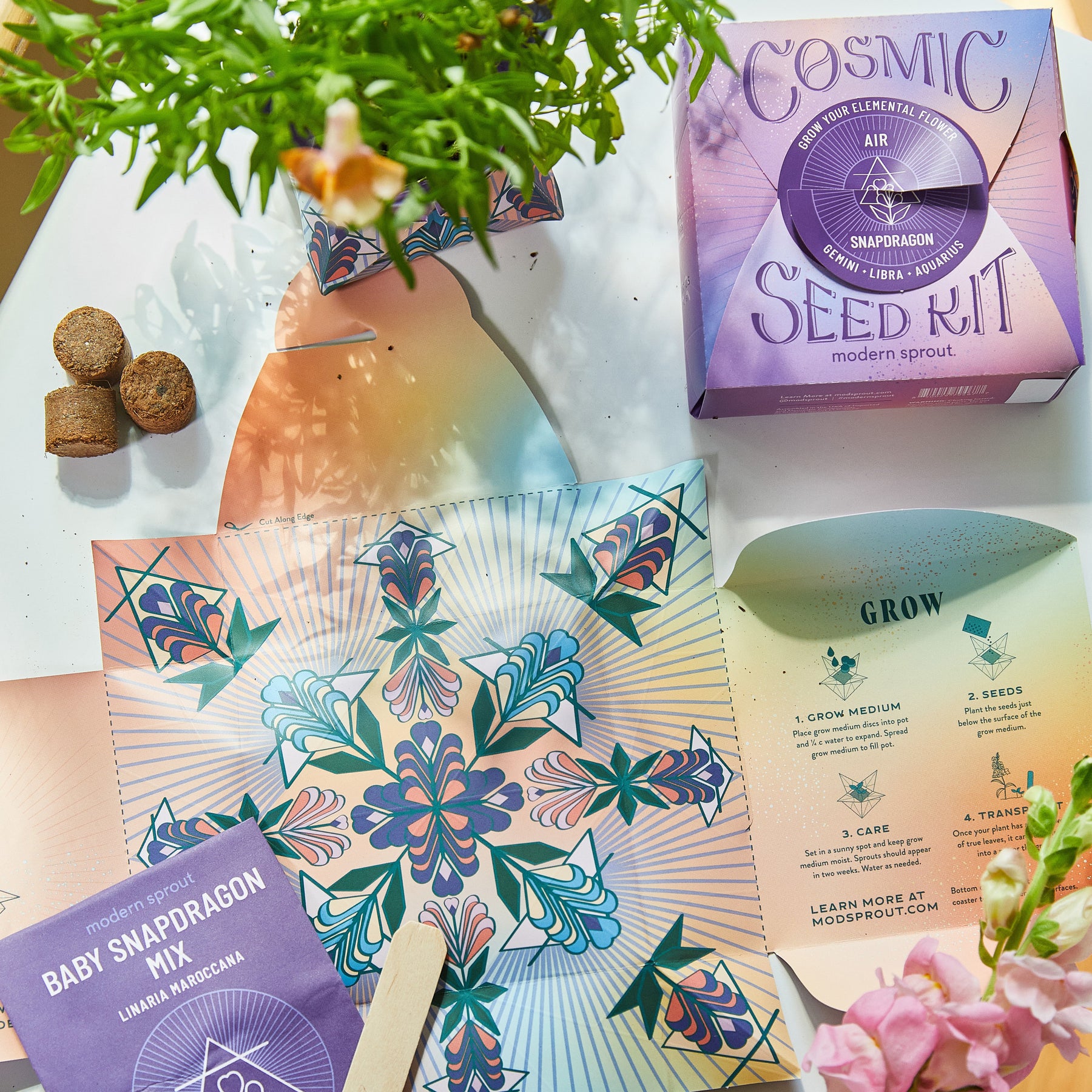 Colorful Cosmic Seed Kit packaging with seed discs, planting instructions, and vibrant illustrations for growing plants.