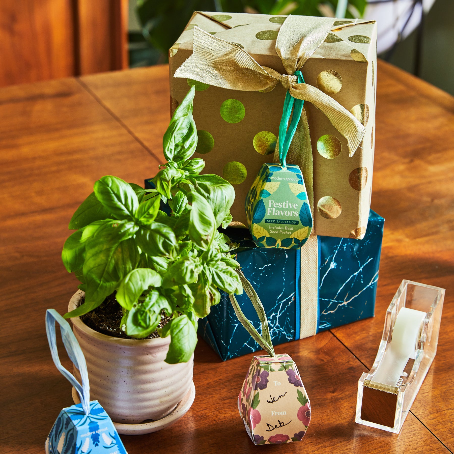 Gift boxes wrapped in festive paper sit on a wooden table beside a potted basil plant, showcasing Seed Salutations tags.