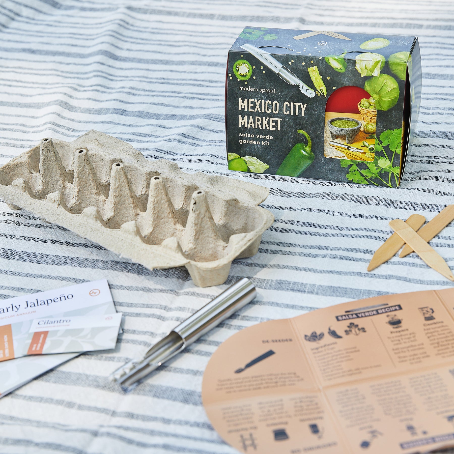 Seed collection kit featuring Mexico City Market seeds, planting trays, markers, and instructions on a striped surface.